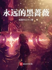 ���٣������Ų����