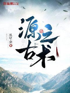 ˫